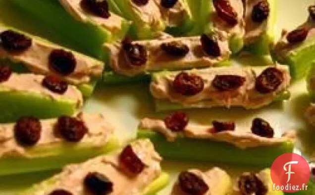 Coccinelles sur une bûche