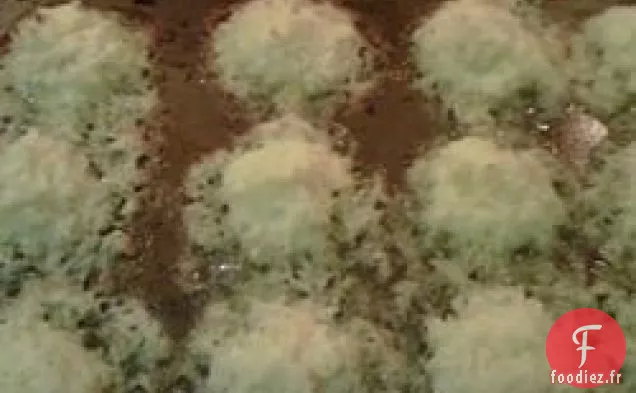 Montagnes de Noix de Coco