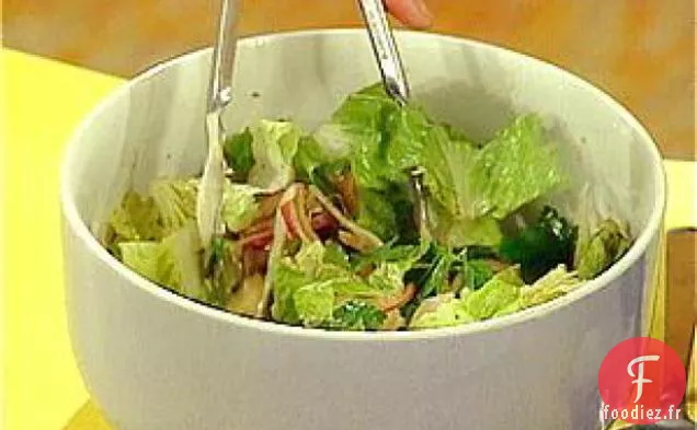 Salade Romaine et Fenouil