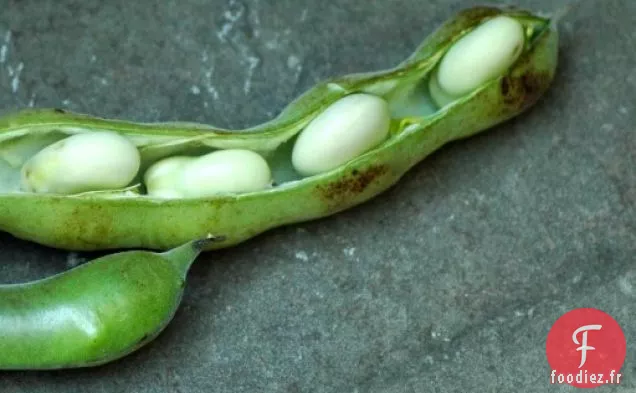 Purée de Fèves