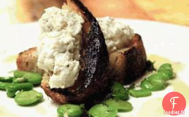 Bruschetta Aux Favas Et À La Ricotta