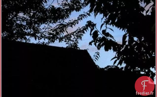 Habas Con Jamon (Fèves Au Jambon Espagnol)