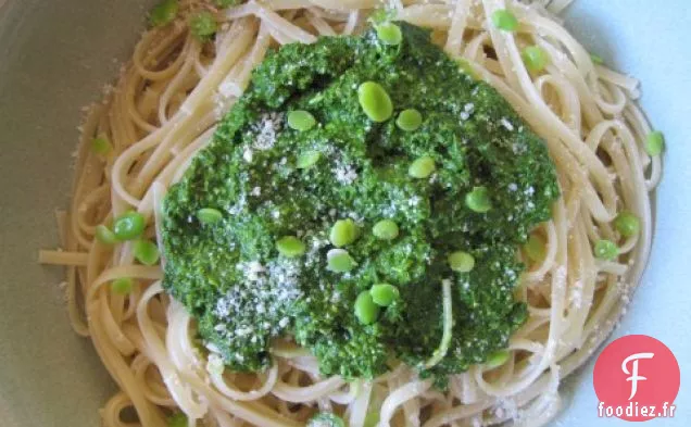 Pesto de Feuilles de Fava