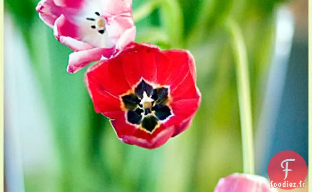 Looking French, maybe - Avoir l'air français, peut-être