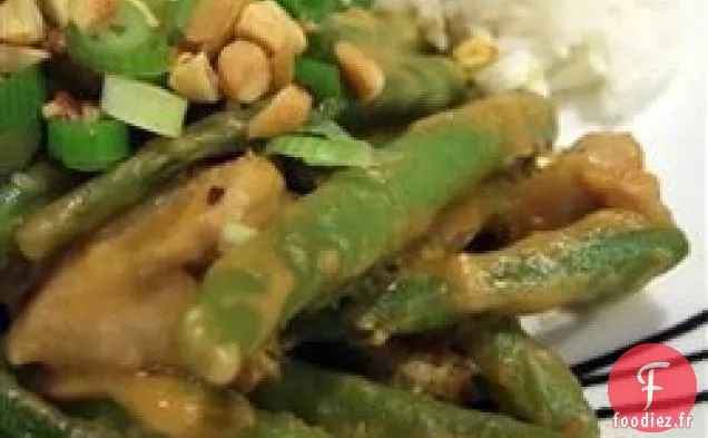 Poulet indonésien d'Erin