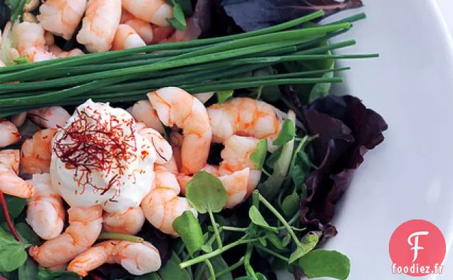 Crevettes, Mayo Au Safran Et Mélange D'Herbes Pour Bébés
