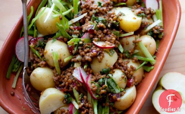 Lentilles aux Pommes Avec Pommes de Terre Nouvelles et Salade Croquante