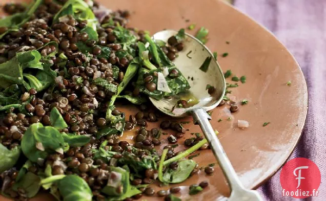 Lentilles au Vin Rouge et aux Herbes