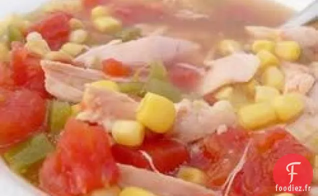 Soupe aux Tortillas II