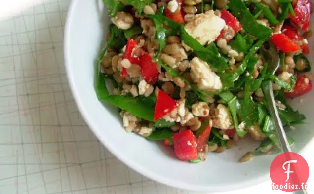 Salade de Lentilles et d'Orge