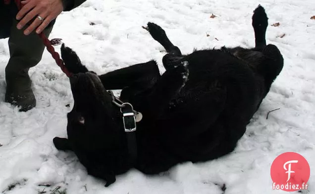Poitrine De Porc Rôtie Lente Aux Lentilles Du Puy