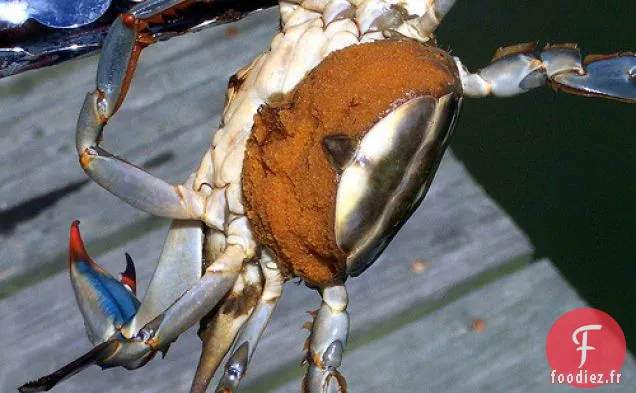 Cuisiner le livre: Soupe de crabe du Maryland