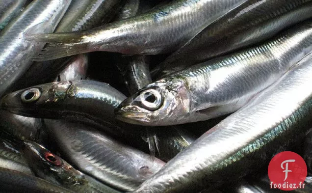 Cook the Book Party Planner: Pâtes aux Sardines