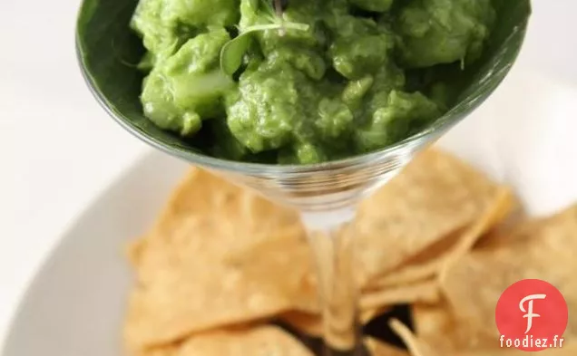 Ceviche De Flétan D'Alaska À la Coriandre - serrano