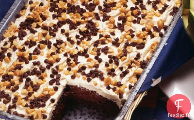 Délicieux Gâteau aux Cacahuètes Au Chocolat
