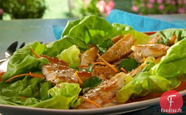 Wraps de Laitue de Truite Fumée avec Vinaigrette au Citron Meyer et Carottes