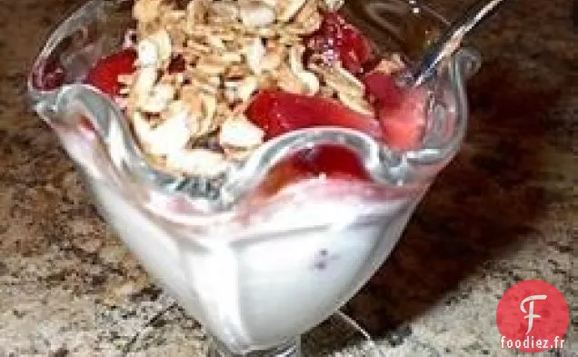 Yogourt Nature Fait Maison