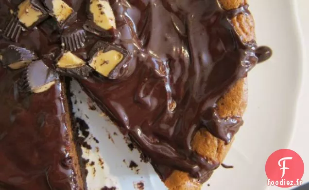 Gâteau Au Chocolat Et Au Beurre D'Arachide Sans Farine Avec Glaçage Au Chocolat Chaud