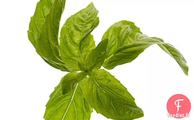 Sirop Simple au Basilic