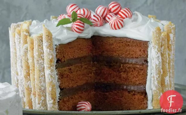 Menthe Poivrée - Gâteau au Chocolat Chaud