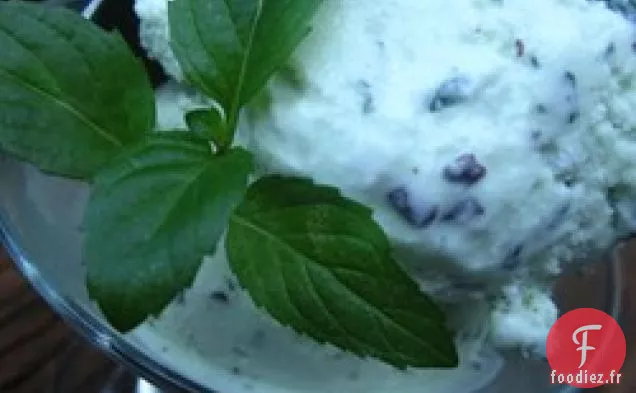 Crème Glacée Maison aux Pépites de Chocolat à La Menthe