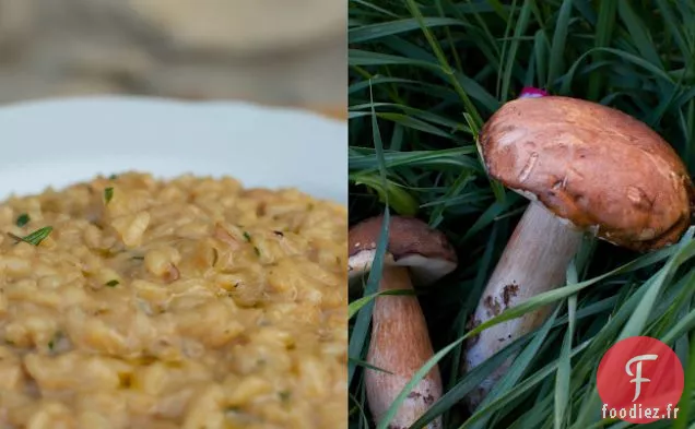 Risotto aux Cèpes