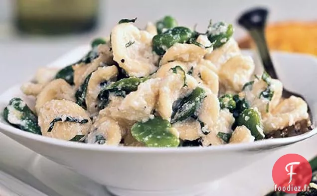 Orecchiette aux Fèves Fraîches, Ricotta et Menthe Râpée
