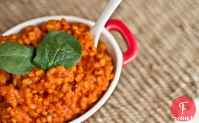 Risotto Crémeux Facile À la Tomate Et À l'Orge
