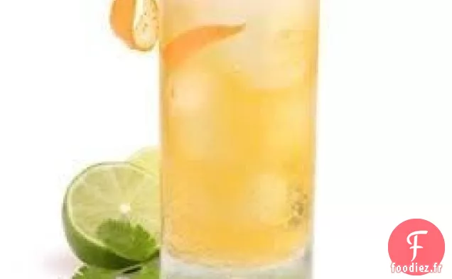 Refroidisseur de Tequila Trieste