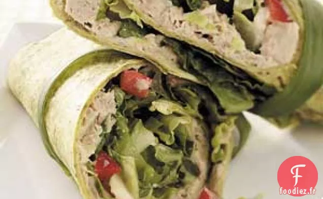 Enveloppements de Thon Croquants