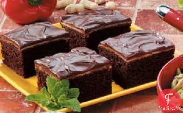 Gâteau au Chocolat et au Beurre d'Arachide
