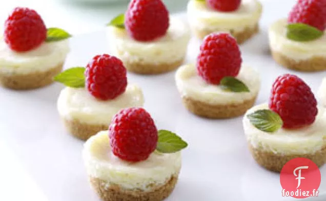Mini Gâteaux au Fromage aux Baies