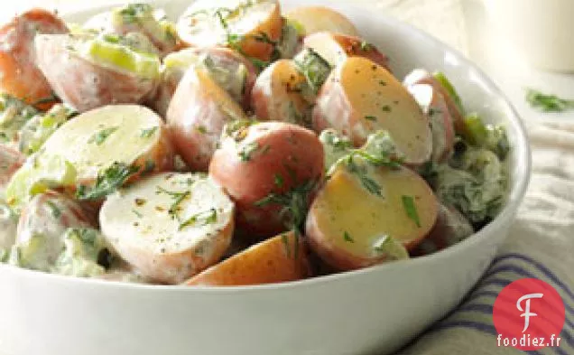 Salade de Pommes De Terre Tzatziki