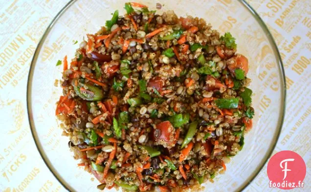 Salade de Quinoa au Curry et Haricots Germés