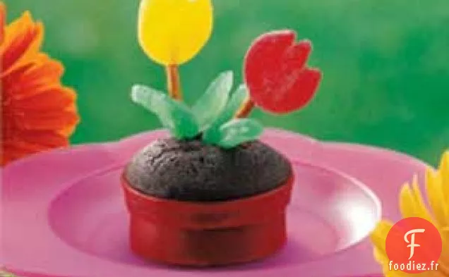 Cupcakes en Pot de Fleurs