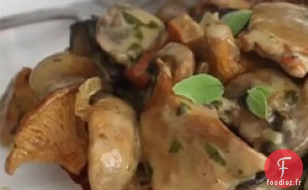 Ragoût Crémeux de Champignons Sauvages