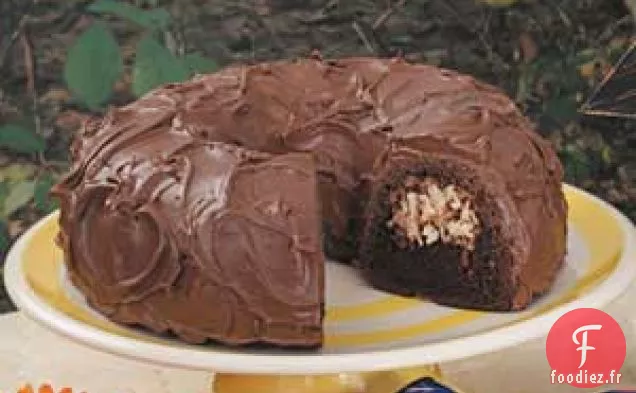 Gâteau Bundt au Chocolat et à la Noix de Coco