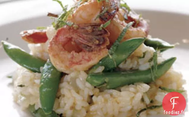 Risotto De Crevettes Et Boutons-Pression Au Sucre