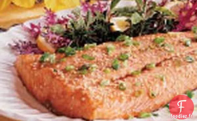 Filet de Saumon au Sésame