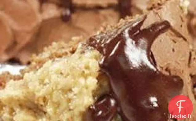 Gâteau au Chocolat Allemand I