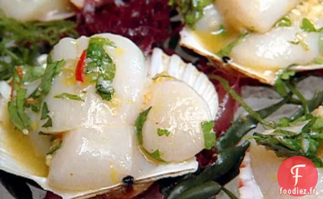 Pétoncles de la baie de Nantucket dans une vinaigrette à la Tequila, aux Agrumes et au Chili