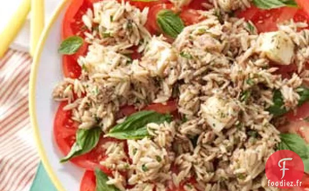 Orzo-Salade de Thon aux Tomates