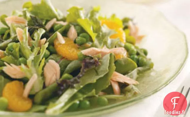 Salade de Saumon Printanière
