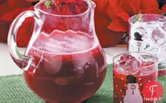 Sirop de Boisson à la Canneberge