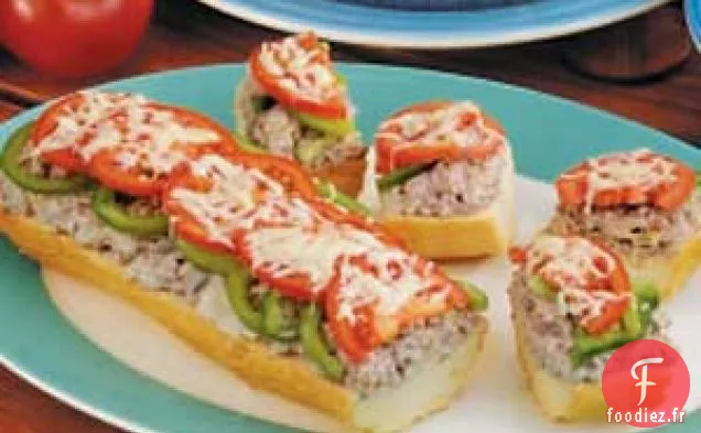 Fonte de Boeuf Stroganoff