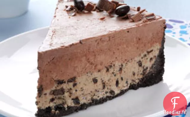 Gâteau à la Crème Glacée au Chocolat et aux Grains de Café