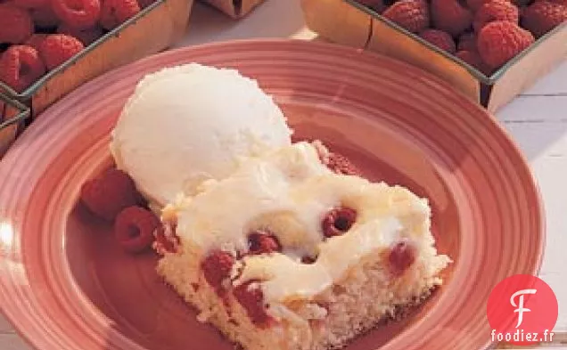 Gâteau Royal aux Framboises
