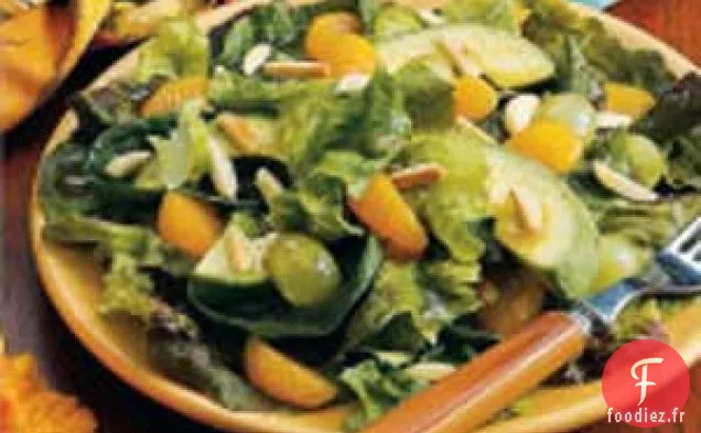 Salade Mélangée Orange-Avocat