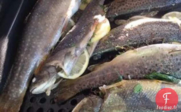 Truite Entière Grillée