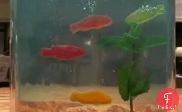Aquarium JELL-O®